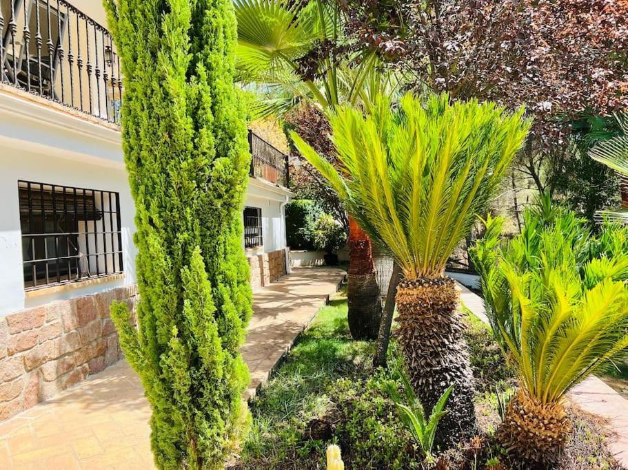 Villa ALJARAL, Espectacular,piscina,chimenea, climatización, wifi Córdoba Exterior foto